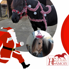 Image - Noël aux Equidés Hamois