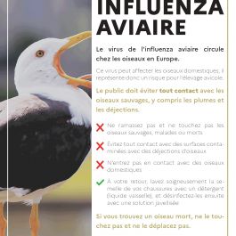 Influenza aviaire