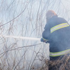 Image - Des tests effectués par les pompiers