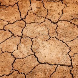 Image - Sécheresse : Le préfet décide de limiter les usages d’eau dans le sillon mosellan